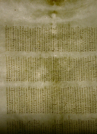 Detail mit durch das Skelett verursachtes Merkmal auf Lage 41, folio 4 recto.