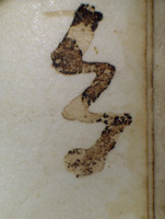 Detail of re-traced squiggle (Quire 68 f.5r, BL f.164 r)